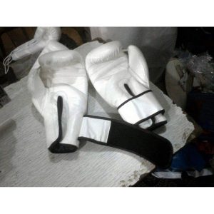 Alternative view of WS-SWBG6